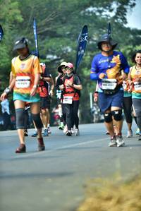 BIB: 
                            <button type="button" onclick="openModal(10127979)" class="btn btn-primary btn-sm float-right btn-popup" data-toggle="modal" data-target=".modal-high-quality">
                        <i class="fas fa-shopping-cart"></i> Add to Cart
                    </button>
                                            <button type="button" onclick="isThisMe(10127979, true)" class="btn btn-success btn-sm float-right btn-popup btn-isme hidden" data-toggle="tooltip" data-placement="bottom" title="นี่คือรูปของคุณใช่ไหม คลิกที่นี่เพื่อเอาเข้าอัลบั้ม">
                        <i class="fas fa-plus"></i> Add to album
                    </button>
                    <button type="button" onclick="isThisMe(10127979, false)" class="btn btn-warning btn-sm float-right btn-popup btn-isnotme hidden">
                        <i class="fas fa-ban"></i> Remove from album
                    </button>